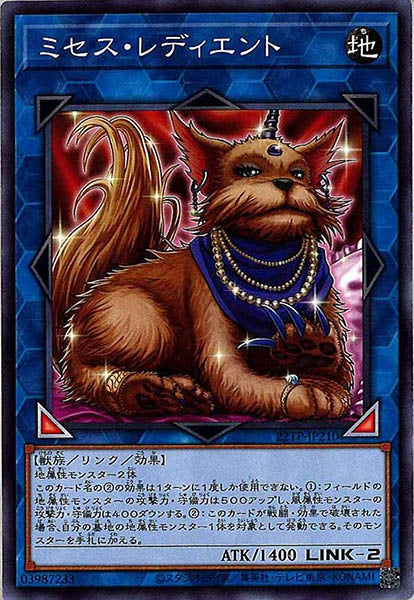 [22TP]ミセス・レディエント(ノーマル)22TP-JP210