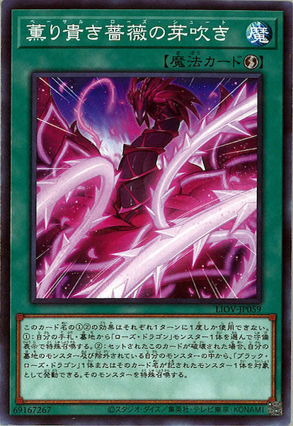 [LIOV]薫り貴き薔薇の芽吹き(ノーマル)LIOV-JP059