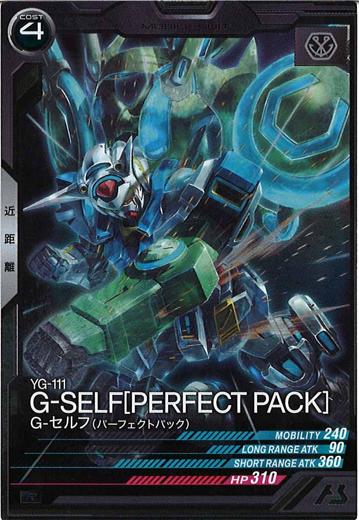 [FQ04]G-セルフ(パーフェクトパック)【R】FQ04-016