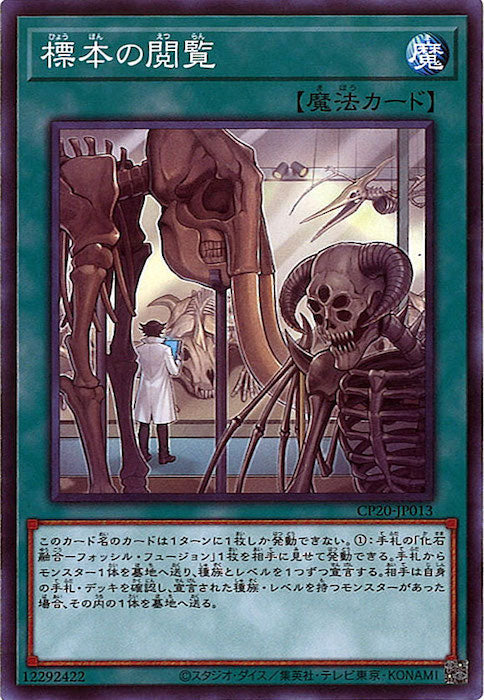 [CP20]標本の閲覧(ノーマル)CP20-JP013