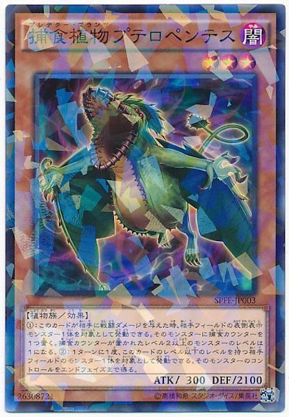 [SPFE]捕食植物プテロペンテス(ノーマルパラレル)SPFE-JP003