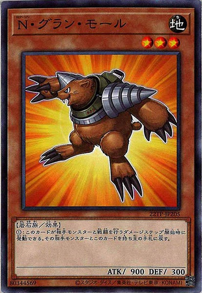 [22TP]Ｎ・グラン・モール(ノーマル)22TP-JP205