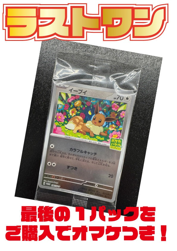 [ポケカ]表記確定！オリジナルパック(2200円)※6月21日販売開始！※PO-ORIG-006