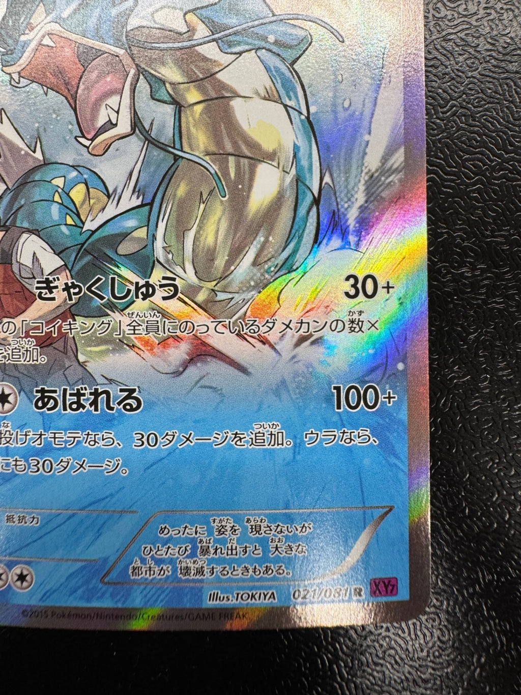 [XY7]ギャラドス【R】021/081
