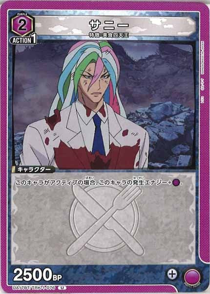 [UA17-BT]サニー【U】UA17BT/TRK-1-076