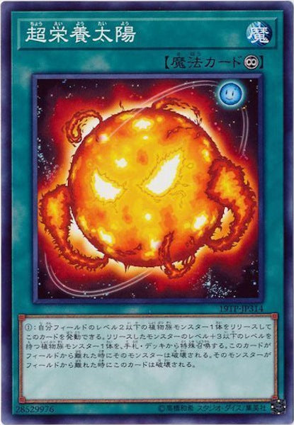 [19TP]超栄養太陽(ノーマル)19TP-JP314