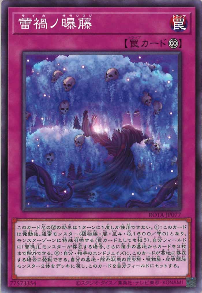 [ROTA]蕾禍ノ曝藤(ノーマル)ROTA-JP077