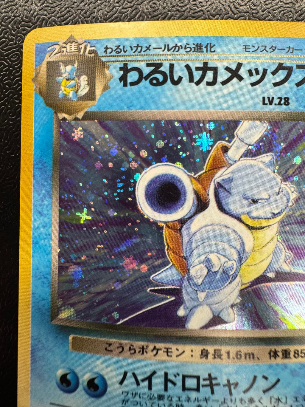 わるいカメックス【★】(009)