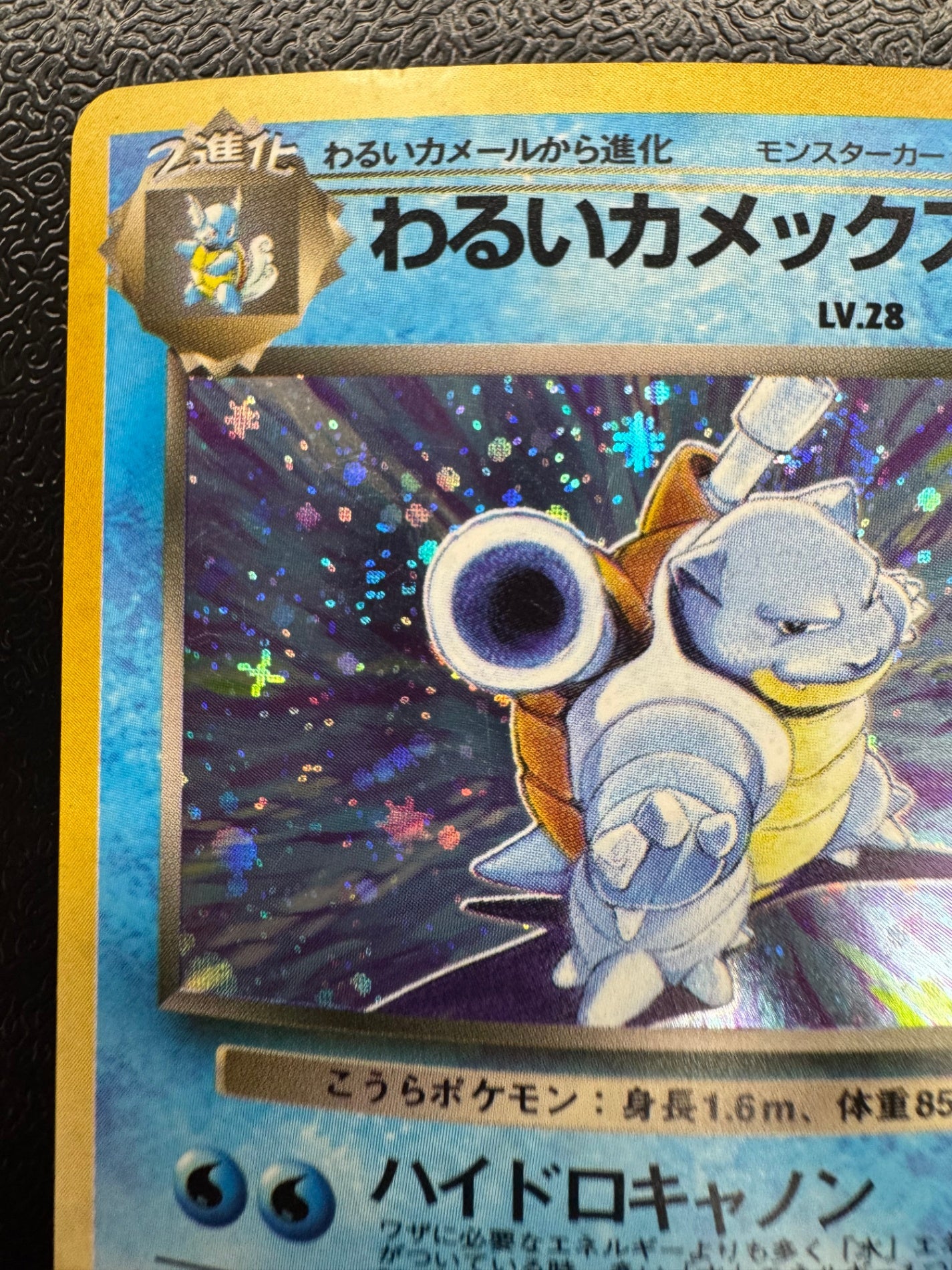 わるいカメックス【★】(009)