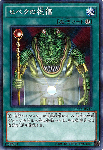 [15AX-Y]セベクの祝福(ノーマル)15AX-JPY47