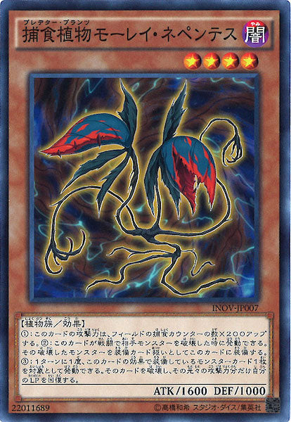 [INOV]捕食植物モーレイ・ネペンテス(ノーマル)INOV-JP007