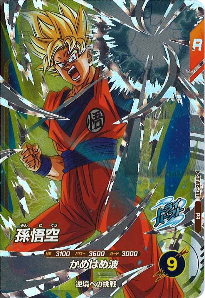 [DB_PR]孫悟空【PR】SDVBS-001