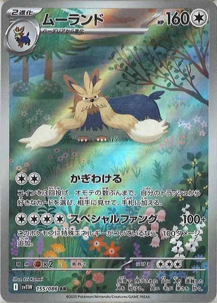 [SV11W]ムーランド【AR】155/086