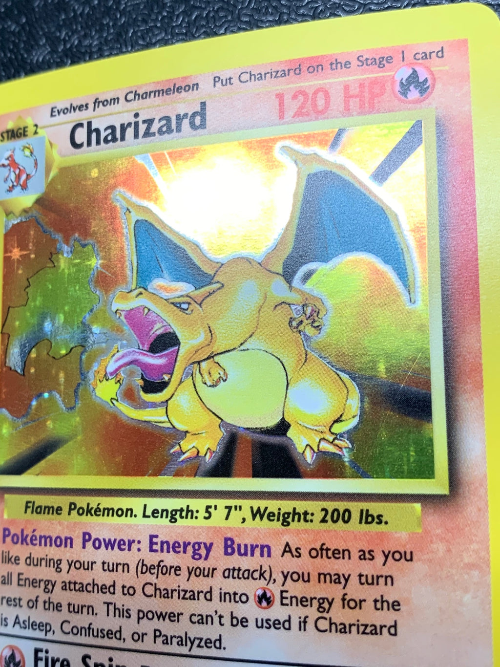 リザードン（英語版）