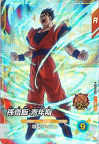 [DB_SDV9]孫悟飯:青年期【SR】SDV9-053