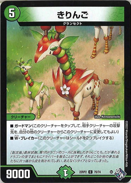 [DM22-RP2]きりんご【C】70/74