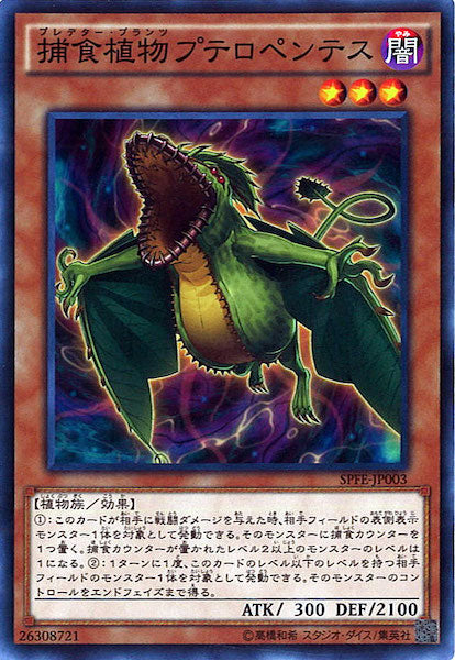 [SPFE]捕食植物プテロペンテス(ノーマル)SPFE-JP003