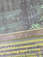 《Bayou》[3ED][EN]