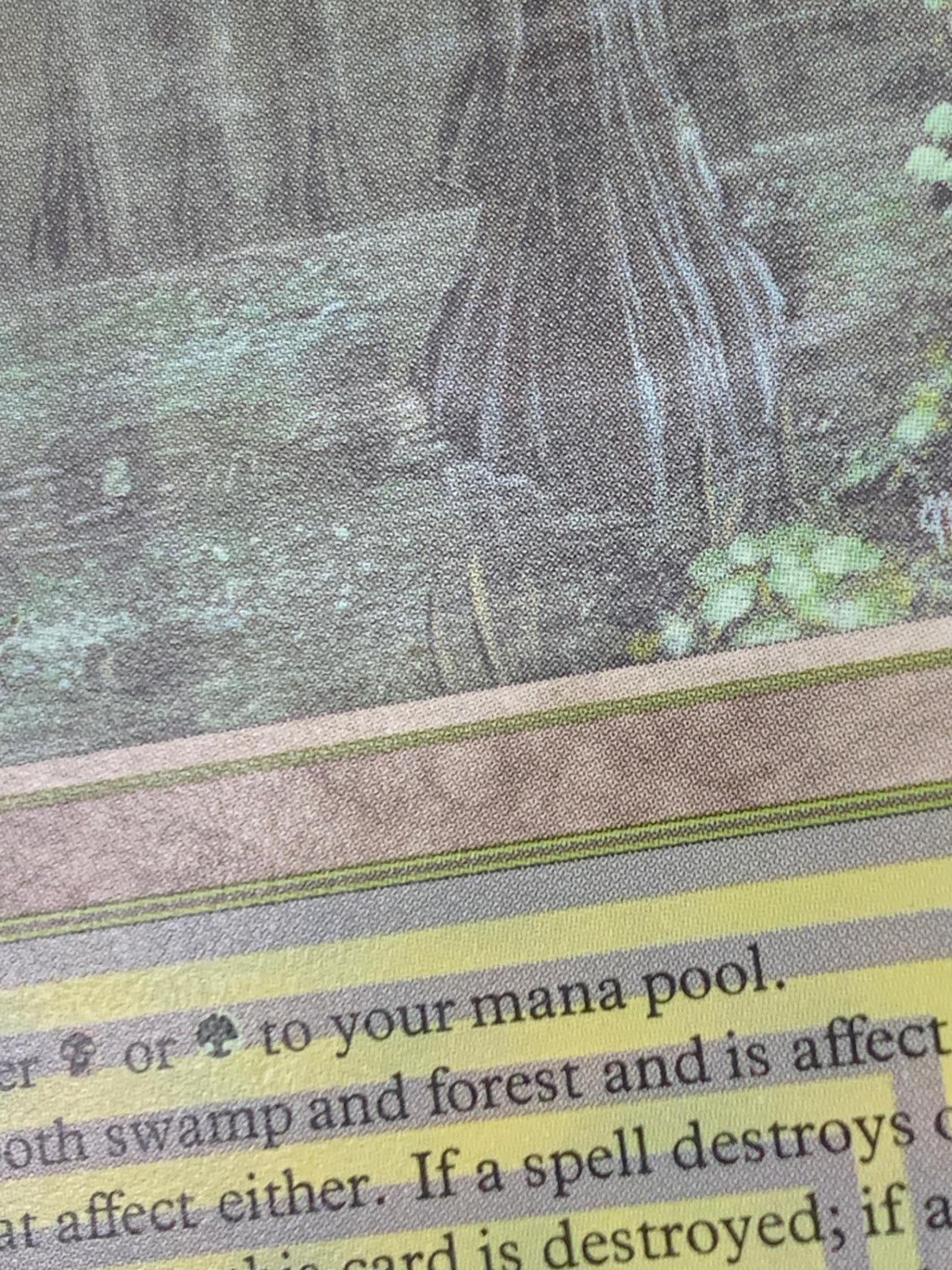 《Bayou》[3ED][EN]