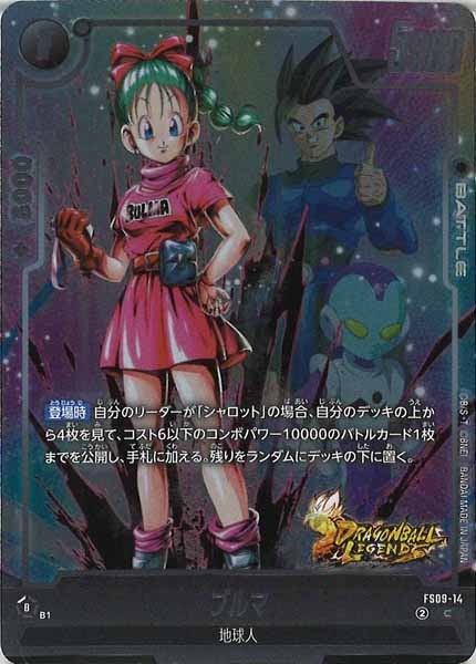 [FS09]ブルマ【C】FS09-14