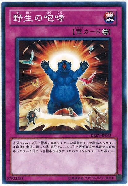 [DREV]野生の咆哮(ノーマル)DREV-JP065