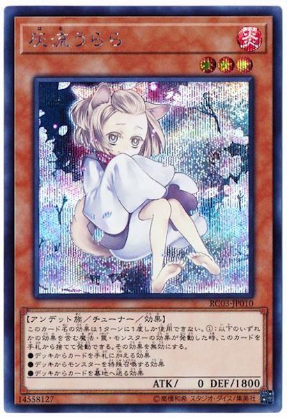 RARITY COLLECTION -PREMIUM GOLD EDITION- - 遊戯王カード/YuGiOhTCG