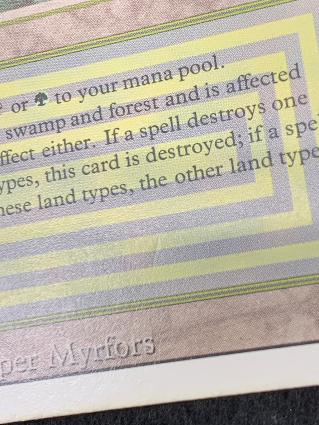 《Bayou》[3ED][EN]
