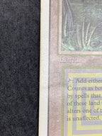 《Bayou》[3ED][EN]