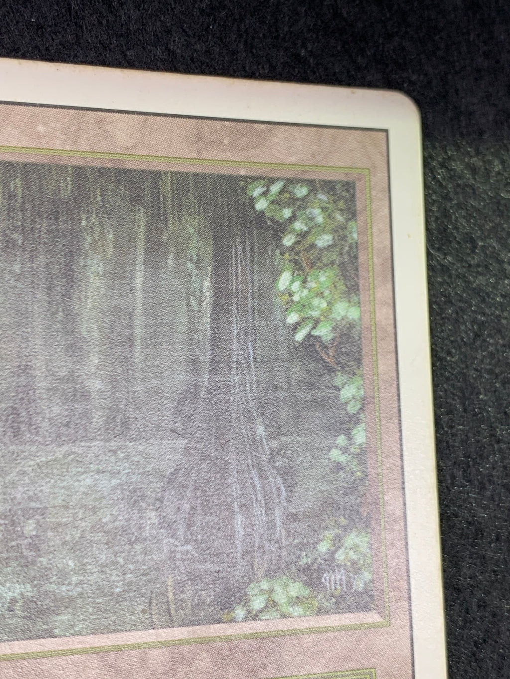 《Bayou》[3ED][EN]