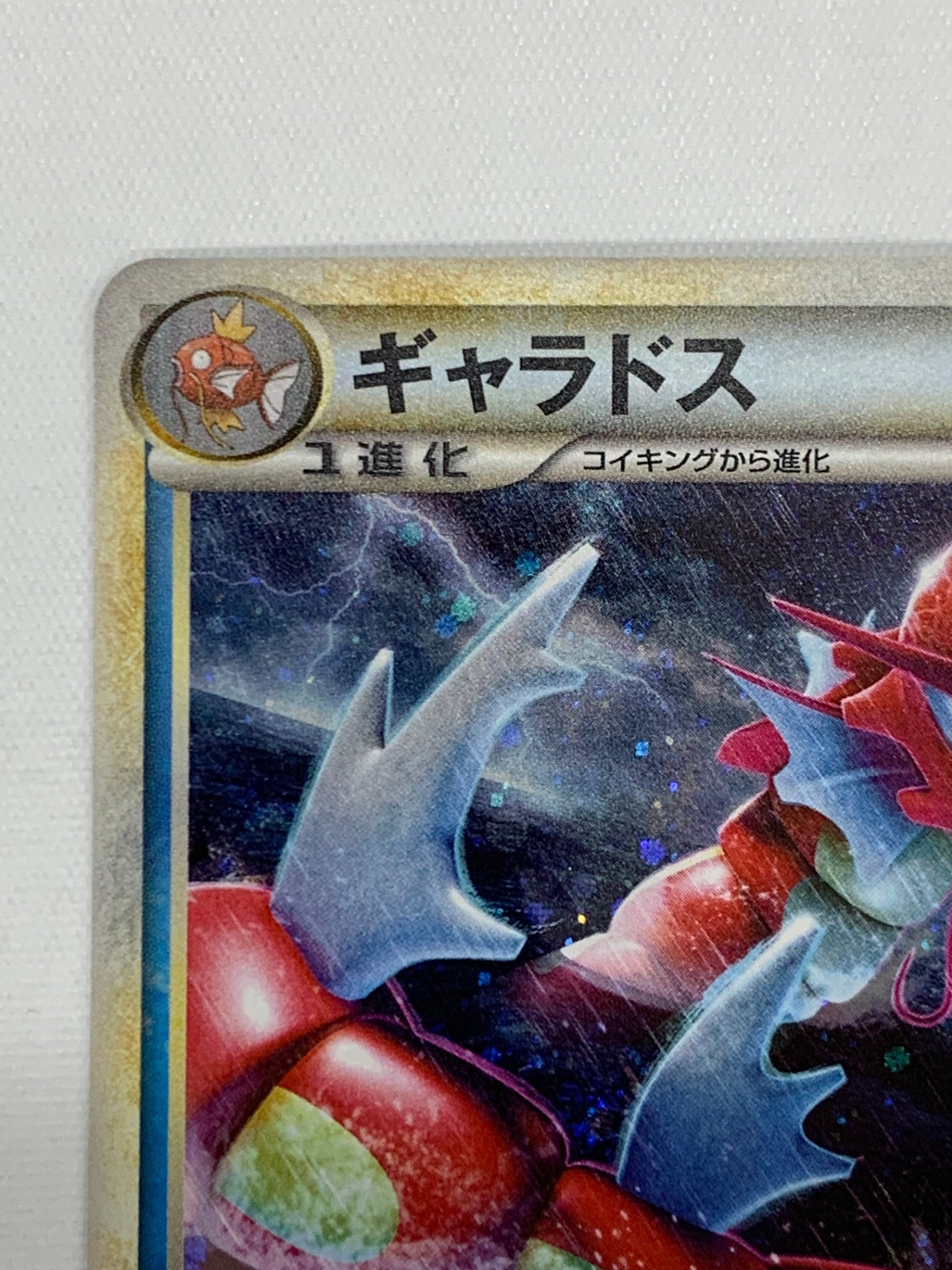ポケモンカード ギャラドス　PROMO 004/L-P 中央渦巻きホロ有 L-P]ギャラドス【PROMO】004/L-P – フルコンプ ONLINE SHOP