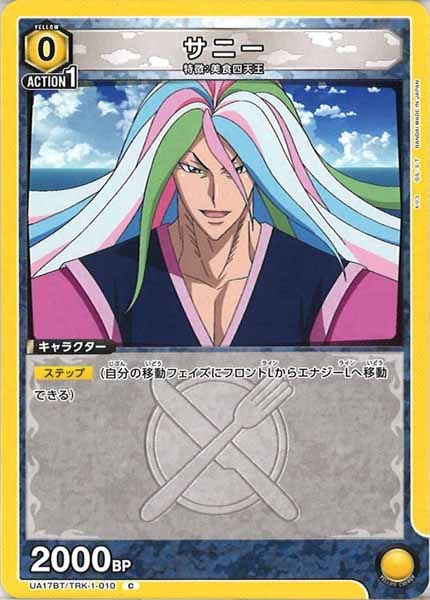 [UA17-BT]サニー【C】UA17BT/TRK-1-010