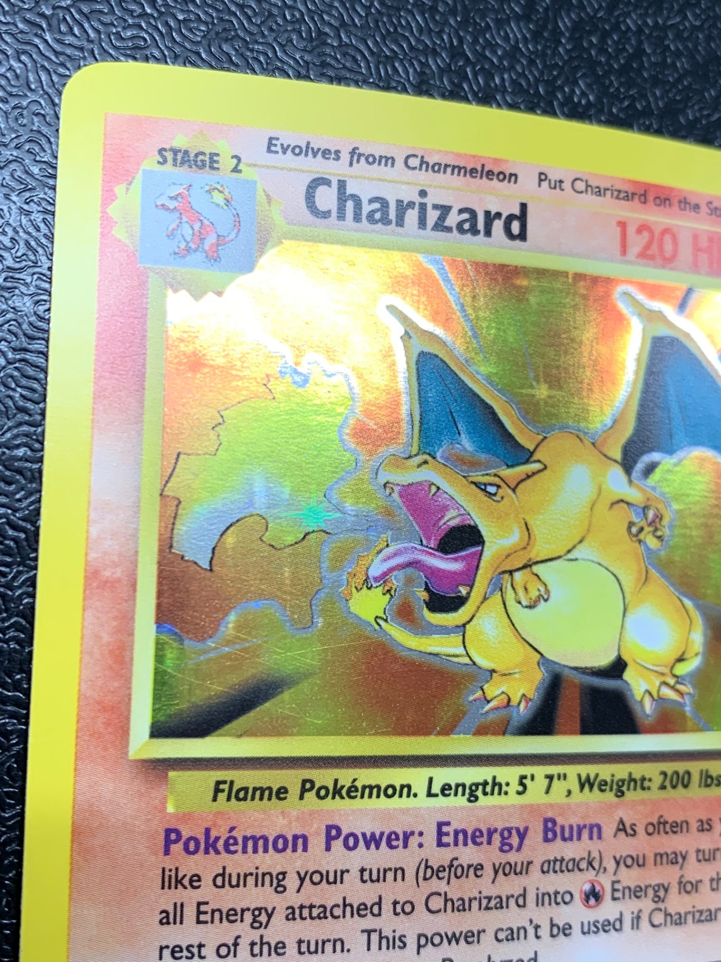 リザードン（英語版）