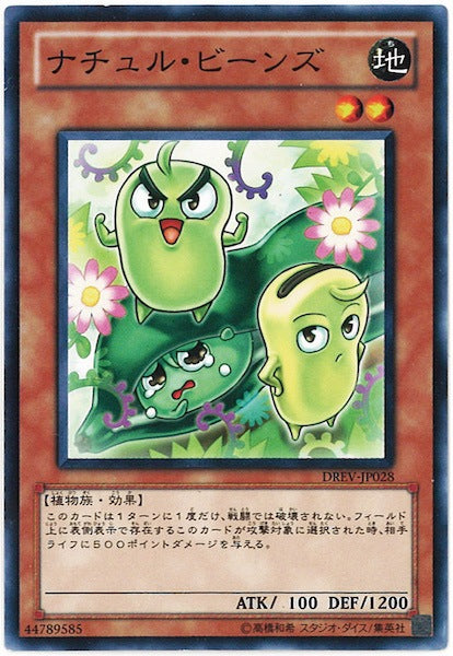 [DREV]ナチュル・ビーンズ(ノーマル)DREV-JP028