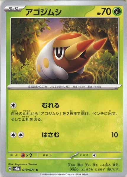 [SV5M]アゴジムシ【C】010/071