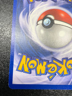 わるいライチュウ（英語版）