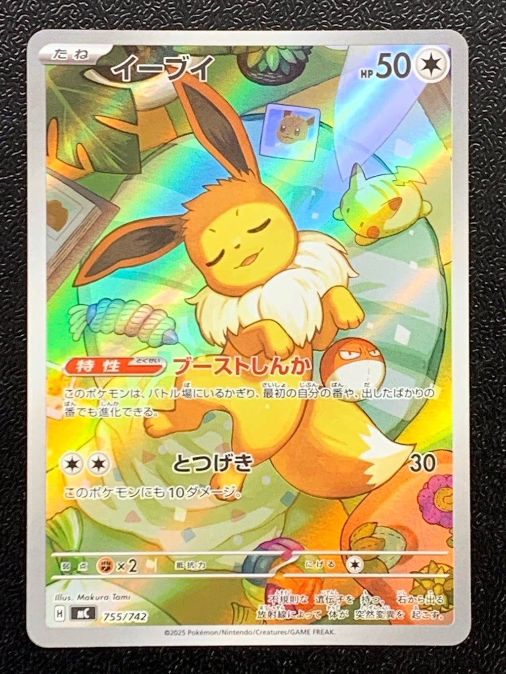 [MC]イーブイ【No mark】755/742 ITF92QXQAQ6O