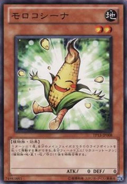 [TP13]モロコシーナ(ノーマル)TP13-JP008