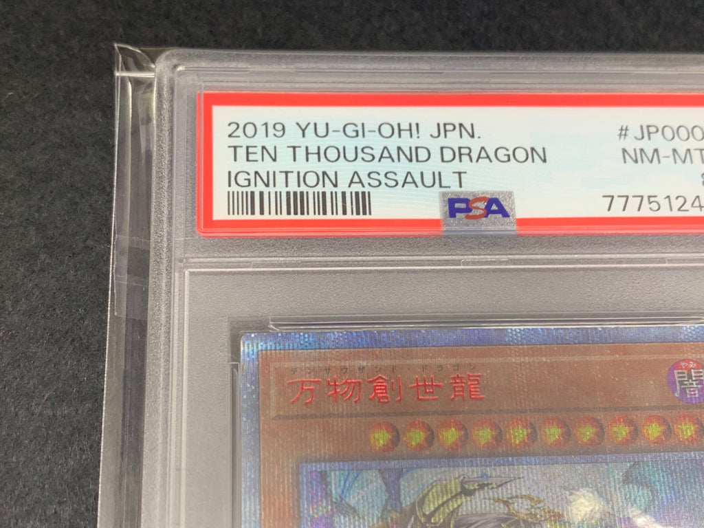 【鑑定品PSA8】[IGAS]万物創世龍(１００００シークレットレア)IGAS-JP000