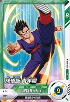 [DB_SDV6]孫悟飯：青年期【N】SDV6-026