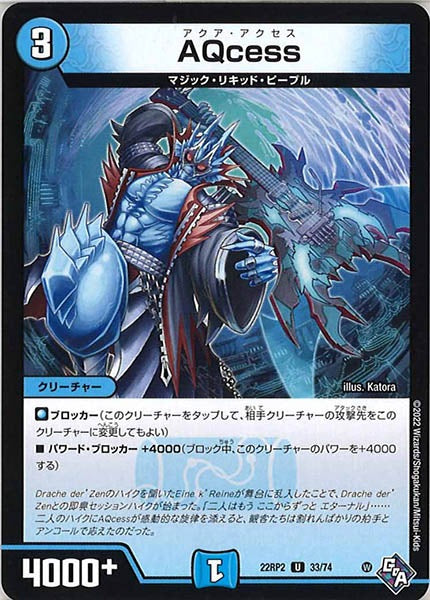 [DM22-RP2]AQcess【UC】33/74