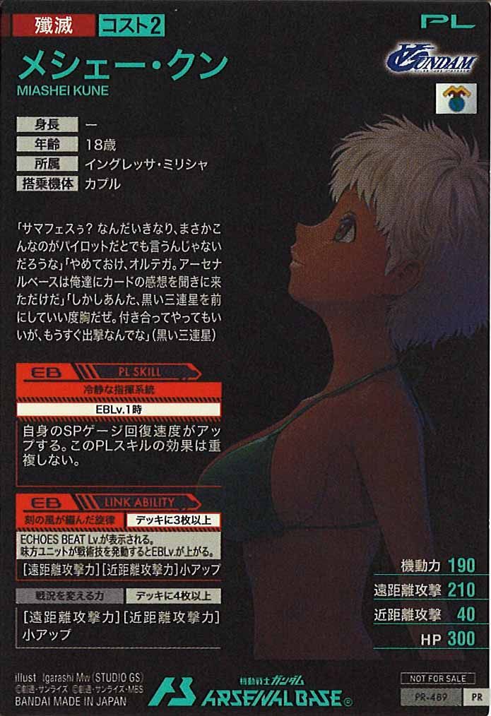 [PR]メシェー・クン【PR】PR-489