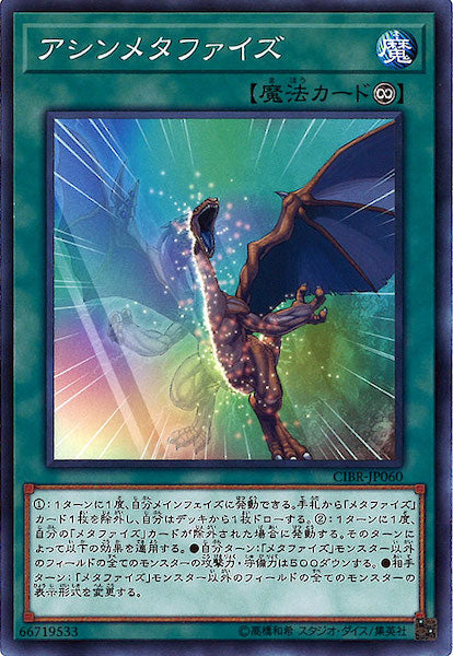 [CIBR]アシンメタファイズ(ノーマル)CIBR-JP060