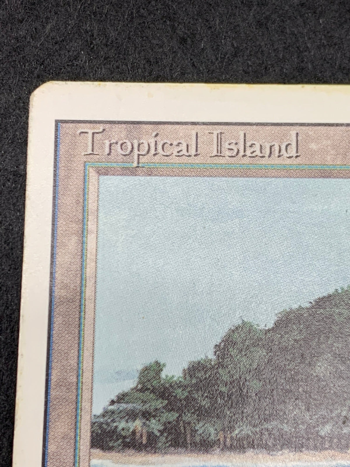 《Tropical Island》[3ED][EN]