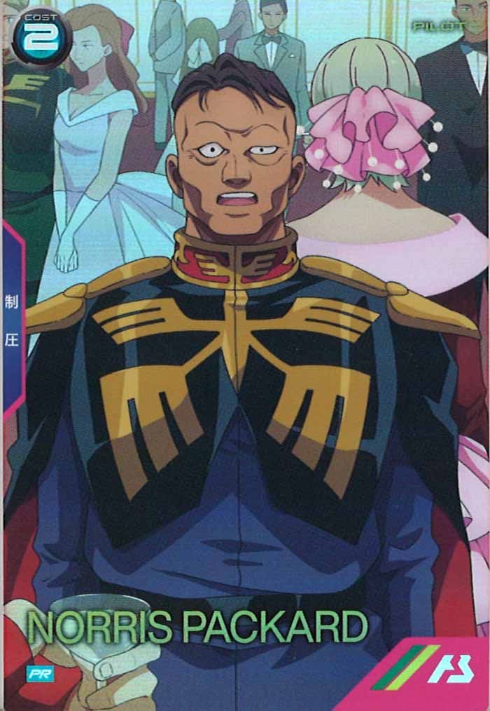 [PR]ノリス・パッカード【PR】PR-195