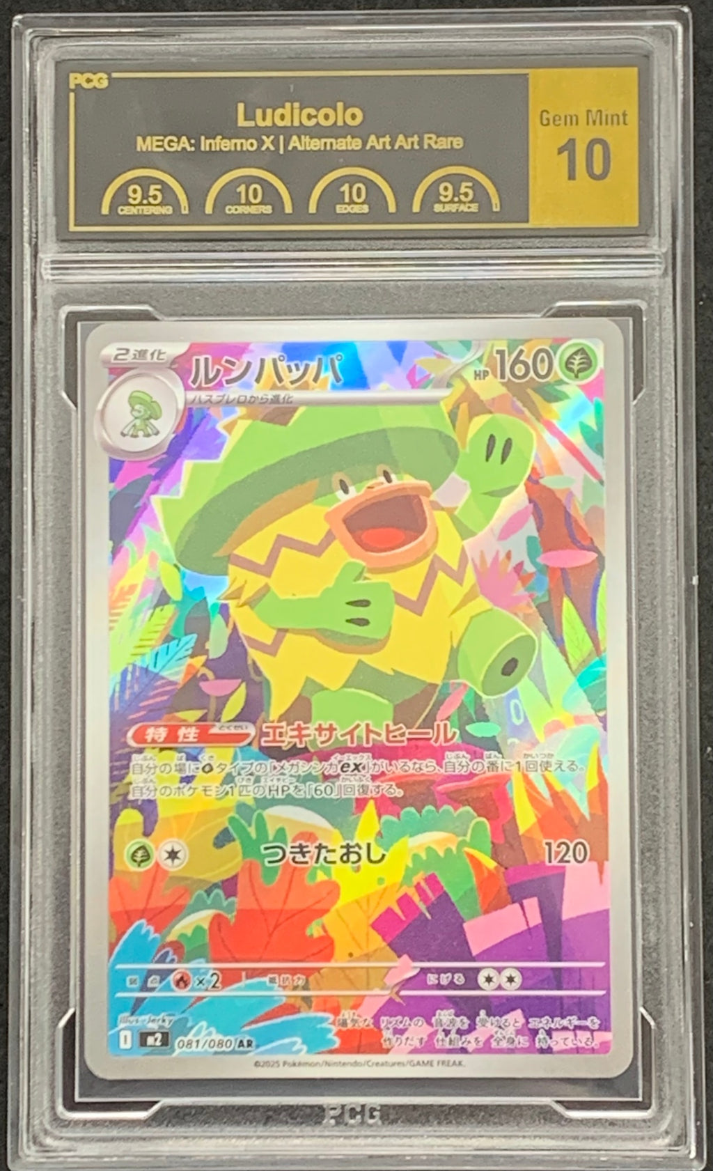 【鑑定品PCG10】[M2]ルンパッパ【AR】081/080