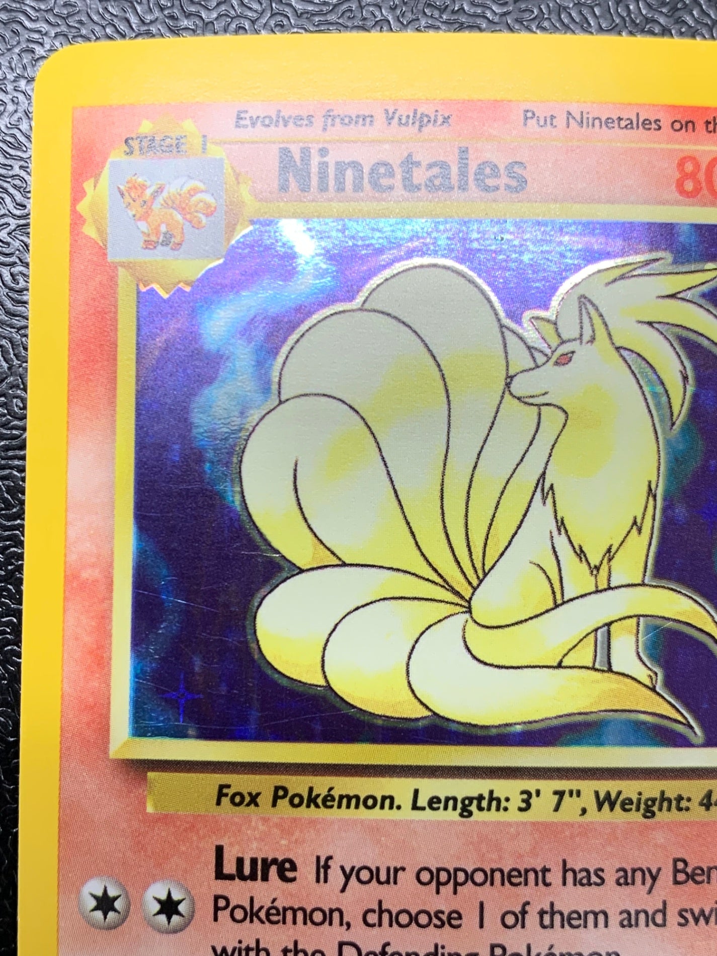 キュウコン　（英語版）