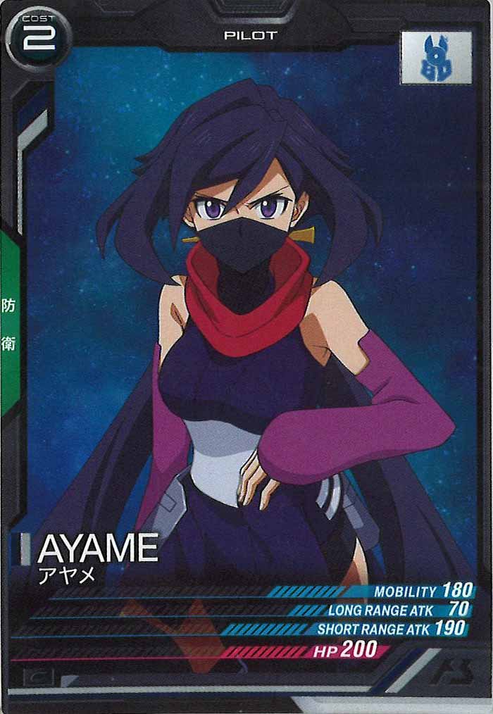 [FQ02]アヤメ【C】FQ02-069