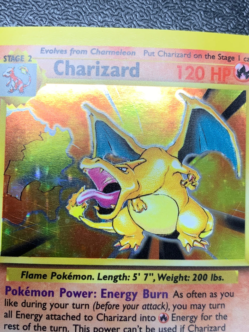 リザードン（英語版）