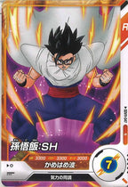 [DB_SDV11]孫悟飯：SH【N】SDV11-047