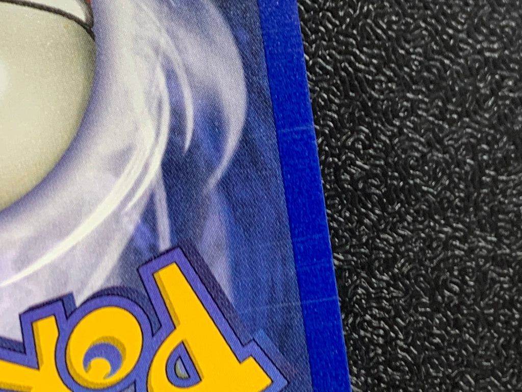 ライチュウ　（英語版)